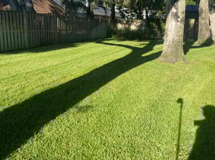 Scott E.'s yard service service result