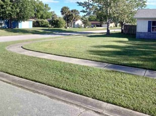 Ashley L.'s grass cutting service result