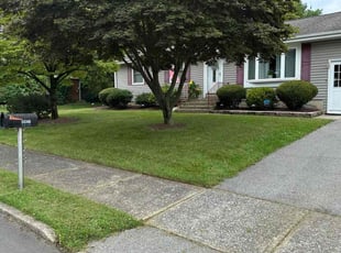 Sharon M.'s grass maintenance service result