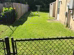 Lorraine P.'s turf care service result