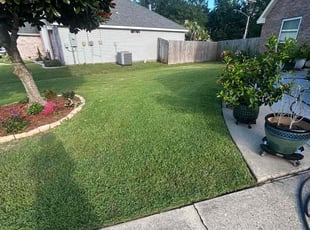Lori B.'s turf maintenance service result