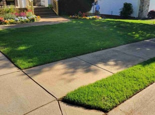 Paulette G.'s landscaping services service result