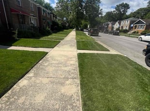 Ashley U.'s grass maintenance service result