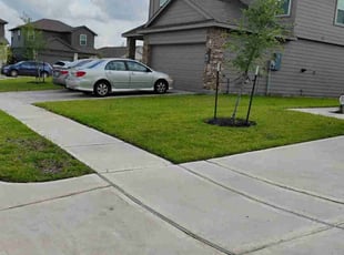 Jennifer R.'s lawn care service result