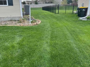 Shubhadip B.'s grass cutting service result