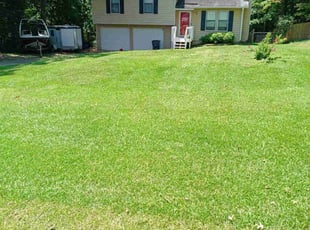 Helen W.'s lawn service service result