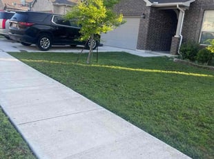 Amy A.'s lawn service service result