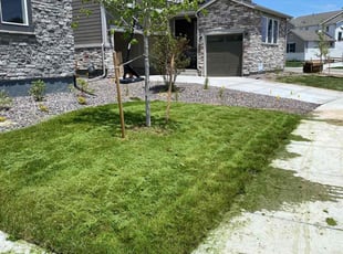 Jordan W.'s Long Grass Cleanup service result