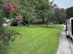 Aretina S.'s turf maintenance service result