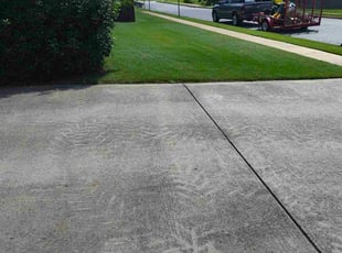 Kenly M.'s lawn maintenance service result