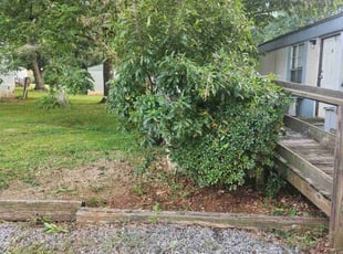 Kathy I.'s Bush Trimming service result