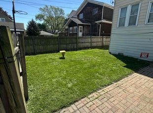 David K.'s lawn care service result