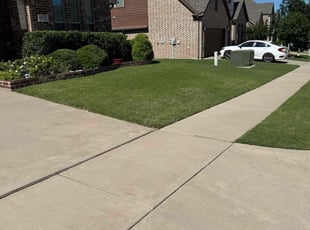 Gena C.'s lawn care services service result