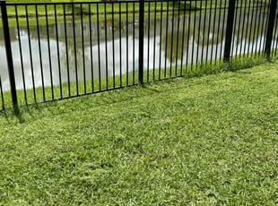 Ken H.'s grass cutting service result