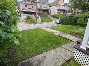 Jihee S.'s lawn service service result