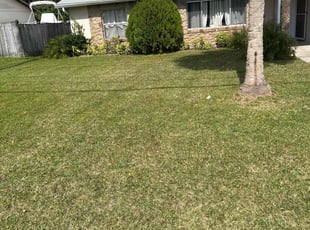 Michelle K.'s lawn care services service result