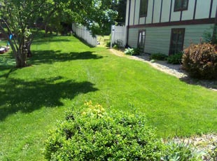 Keith G.'s lawn care service result