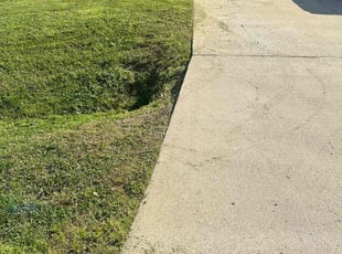 Jacqueline B.'s lawn care service result