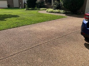 Jeremy L.'s landscaping service result