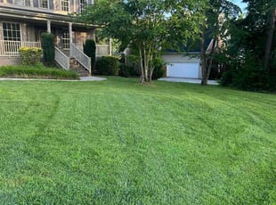 Jun N.'s grass maintenance service result