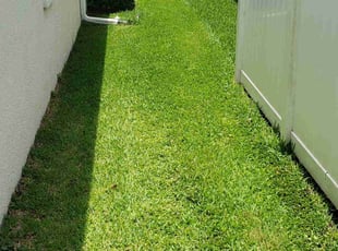 Tyra W.'s yard service service result