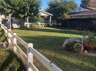 Bruce J.'s grass maintenance service result