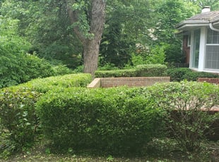 Crystal B.'s Bush Trimming service result