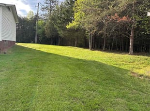 Debbie S.'s lawn care services service result