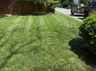 Katrina R.'s turf maintenance service result