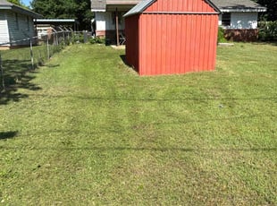 Darrius W.'s turf care service result