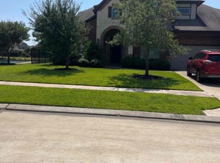 Dianna G.'s lawn care service result