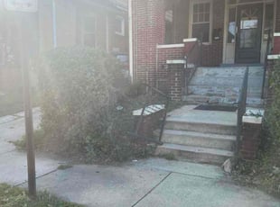 Alex M.'s turf maintenance service result