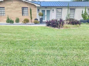 Mark F.'s turf maintenance service result