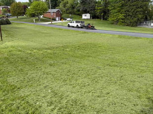 John G.'s Long Grass Cleanup service result
