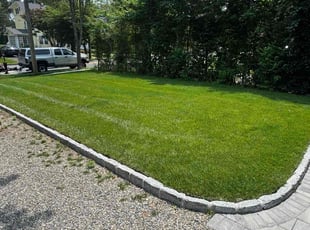 Kaitlin S.'s grass maintenance service result