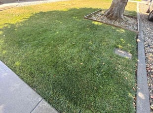 Joshua R.'s lawn service service result