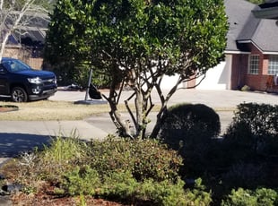 Abdul I.'s Bush Trimming service result