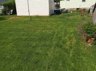 Vanessa W.'s lawn maintenance service result