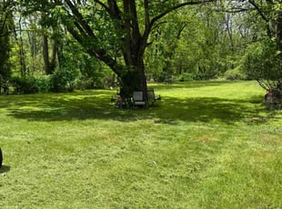 Michael A.'s lawn service service result