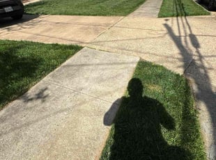 John B.'s lawn care service result