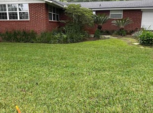 Mai D.'s turf maintenance service result