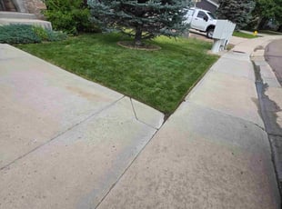Jerry P.'s turf maintenance service result