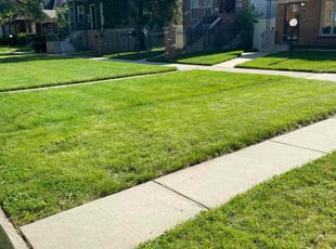 Angelica J.'s turf maintenance service result