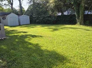 Michael H.'s lawn service service result