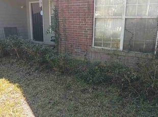 Doug B.'s Bush Trimming service result