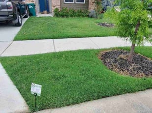 Heather N.'s grass cutting service result