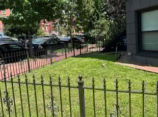 Sean B.'s grass maintenance service result