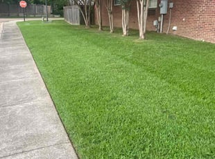 Mike M.'s lawn maintenance service result