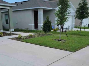 Johnetta E.'s grass cutting service result