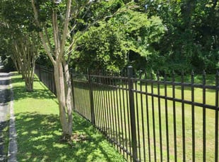 Cynthia A.'s yard work service result